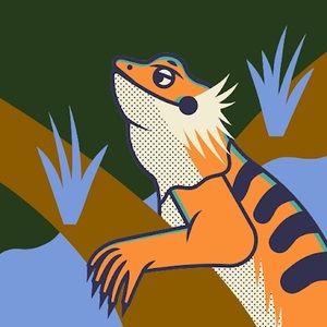 Meet your Posher, Ali